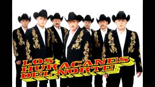 El gato de chihuahua Music Video