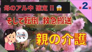 【親の介護日記】第２話  多量飲酒からの転倒そして圧迫骨折　額が切れて出血・・・断酒を試みた結果は？