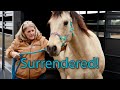 Horse Shelter Heroes | S2E1 | Full Episode