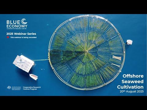 Offshore Seaweed Cultivation
