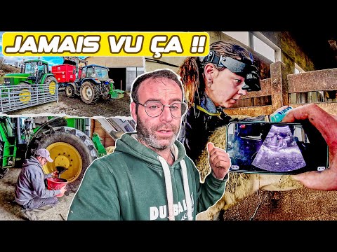 C’EST HISTORIQUE 😱 90% DES BREBIS PLEINES… J’Y CROYAIS PAS !