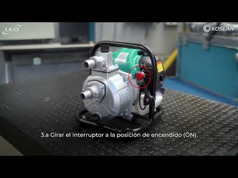 Motobombas LEO LGP10