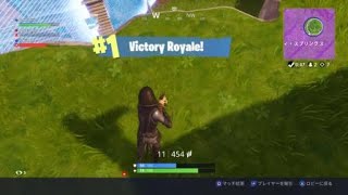 フォートナイトドン勝！