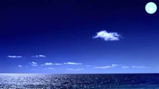 Bas - Too High To Riot