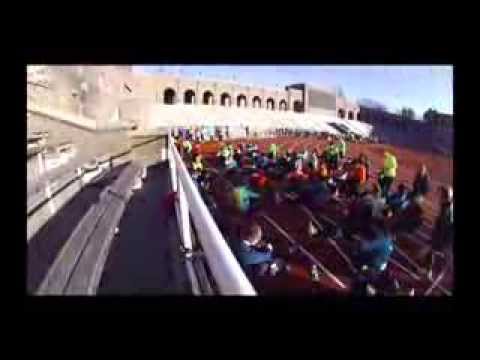 Team Stockholm Marathon grupp 3:45 - 20131124