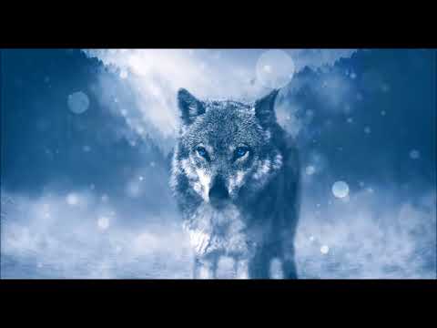Firebeatz & DubVision vs Marshmello ft Selena Gomez - Invincible vs Wolves (Crazy Future Mashup)