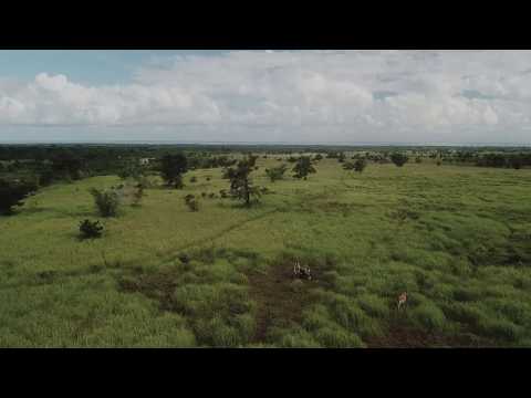 DJI Mavic Pro Drone Flight in the Mountains of Palawan Philippines