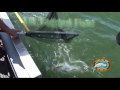 Big Bear Lake Fishing for 50K Trout Derby