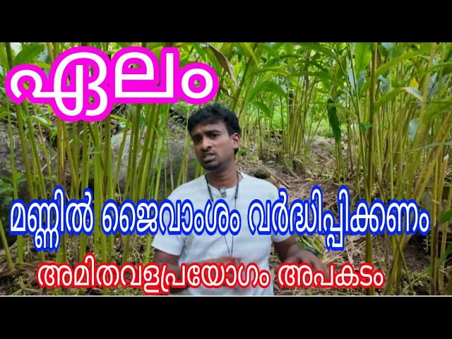 മണ്ണിലെ ജൈവാംശം വർധിപ്പിക്കണം ,അമിത വളപ്രയോഗം അപകടം