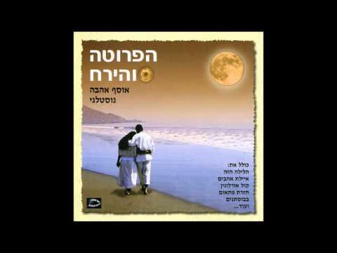 Video thumbnail for Ilu Tsiporim - אילו ציפורים