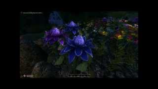 Oblivion Mods: The Crescent Isle ( First Impressions )