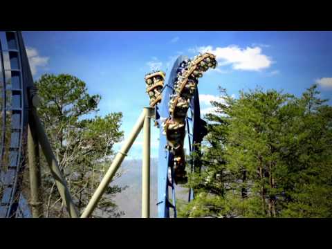 Wild Eagle short video by The Spining Group