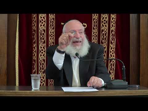 A Short Thought on Parshas Shoftim | By Rav Asher Weiss Shlit"a | 5785