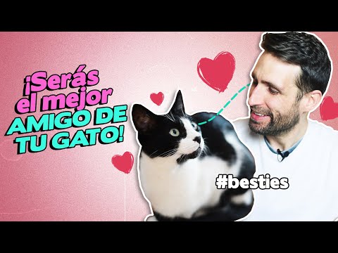 5 CLAVES para ser el MEJOR AMIGO DE TU GATO 😸💖😊 | Demuéstrale a tu gato que puede confiar en ti #BFF