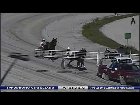 Aversa trotto 29 Gennaio 2022 - Prova di qualifica