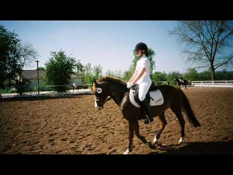 schnecke neu 22 02 2009