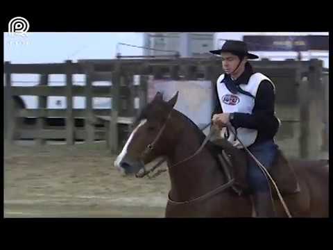 FICCC de Esteio (RS) – 4° lugar fêmeas – Ambiciosa dos Castanheiros (Prova: Bayard/Sarmento)