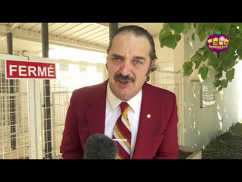 Contrat de jeune - Groland - CANAL+