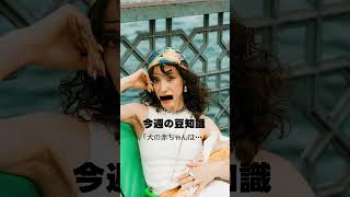 【豆知識】犬の赤ちゃんは…【衝撃の事実 】 #豆知識 #あるある  #犬