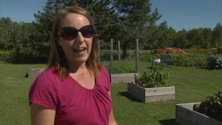 Great Gardening Harvest Moon Special