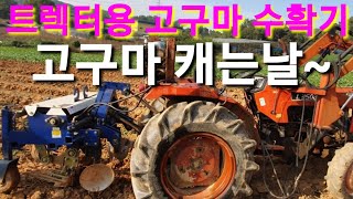 트렉터 부착용 고구마 수확기로 고구마 캐기  고구마순치기 고구마순 자르기 경ㅈ운기 포크레인 굴삭기 관리기 전…