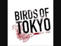 Birds of Tokyo Eduardo 