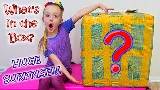 What&#39;s in the Box?!?! HUGE Surprise! For Trinity and Madison