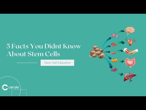 Stem cells: 5 things you didn't know video thumbnail