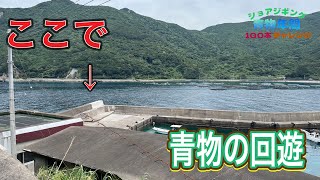 この堤防の上で釣りをしたらついに青物と遭遇。【ショアジギング青物年間100本チャレンジ#123】