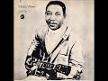 Muddy Waters - Sail On - 09 - Long Distance Call