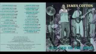 James Cotton Band - Blow Wind Blow