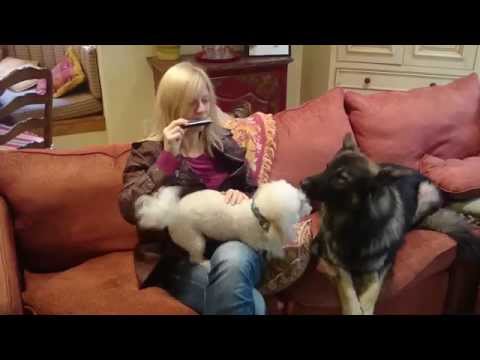 Breaking News!  Valentina Lisitsa quits playing piano