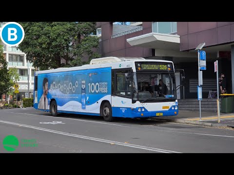 Transit Systems Inner West Burwood m/o 4822 Volvo B12BLE Euro 3 Custom Coaches CB60 bus ride