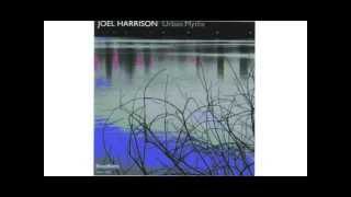 Joel Harrison - Mood Rodeo (AUDIO)