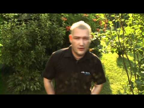 SHOW BAND KLOBUK & SKATER - DEBELUŠČEK