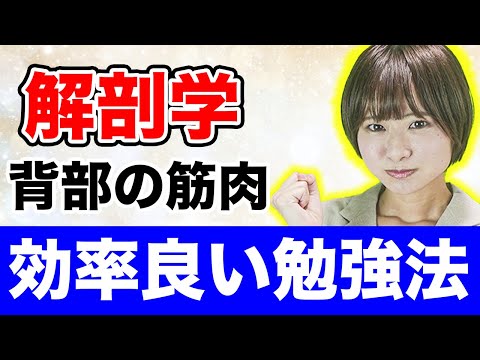 医学科 【解剖学】背中の筋肉を間違えずに覚える画期的方法!!(解剖学,筋肉,勉強法,医学部)