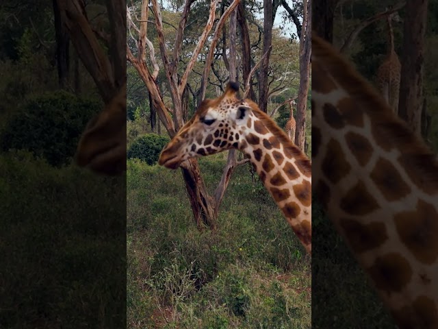 Latest video thumbnail