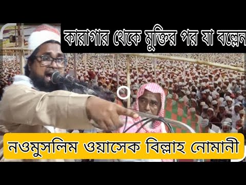জেলখানা থেকে মুক্তির পর যা মন্তব্য করলেন নওমুসলিম ওয়াসেক বিল্লাহ নোমানী জেলখানায় ১১জন মুসলিম হলেন