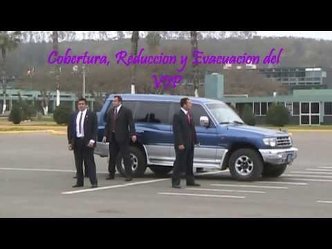 CURSO DE SEGURIDAD Y PROTECCION VIP