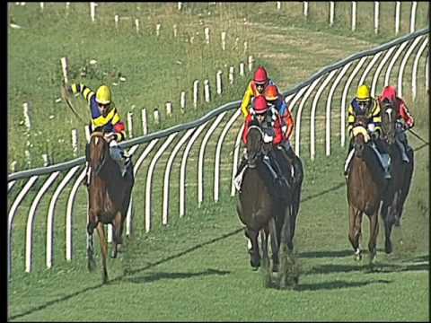 Galoppo 13/07/2016 - 1° corsa