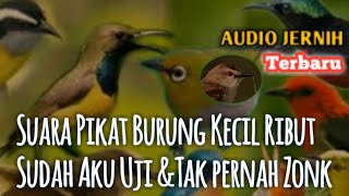 Download lagu Terbaru 2022 Suara pikat burung kecil ribut MP3 jangan kaget  10 detik burung pada menghampiri mp3