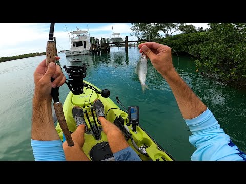 Indian River Exploring and Fishing To Find a BITE