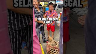 Download lagu Her dog is sold at the market #viral #shorts mp3