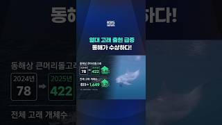 동해, 열대 고래 출현 급증…원인은? #shorts / KBS