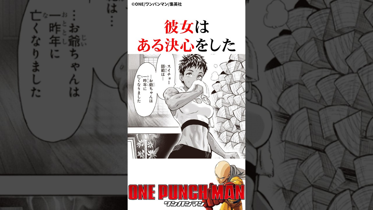 兄に振り回されるスイコ#ワンパンマン #onepunchman