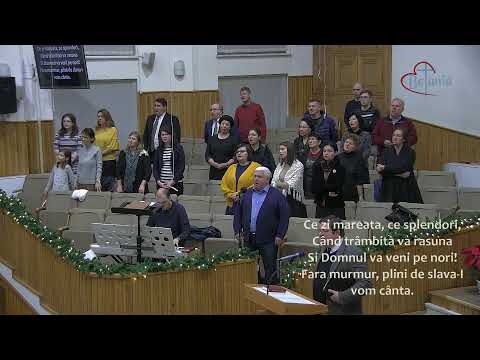 Prima zi a anului nou 2020 - LIVE