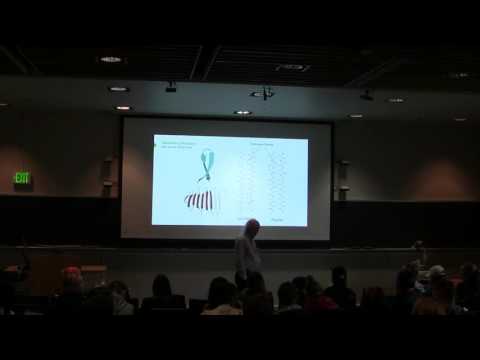 Review session for Exam 1 for Kevin Ahern's BB 450/550 Class