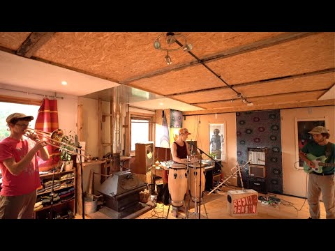 Samson Sounds and Dandelion - Good Karma, live in studio