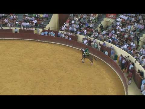 "Vitor Ribeiro" Cavaleiro e pasodoble pela Banda do Samouco no Campo Pequeno 27Agosto2009