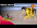 Nandini Weekly Recap 27 Sept 03 Oct 2020 Sun Bangla TV Serial Bengali Serial